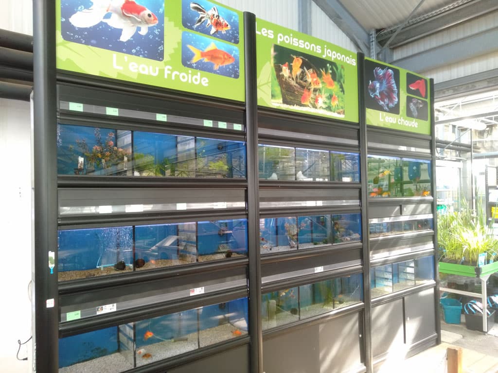 Aquarium pour poissons - Gamm vert