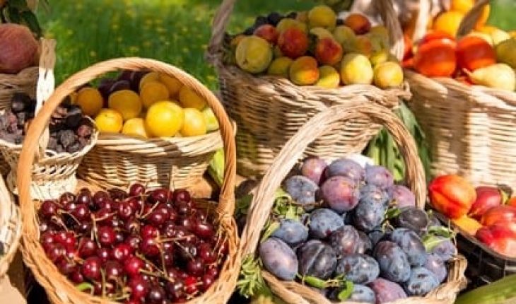 Fruit baskets in the middle of a filed